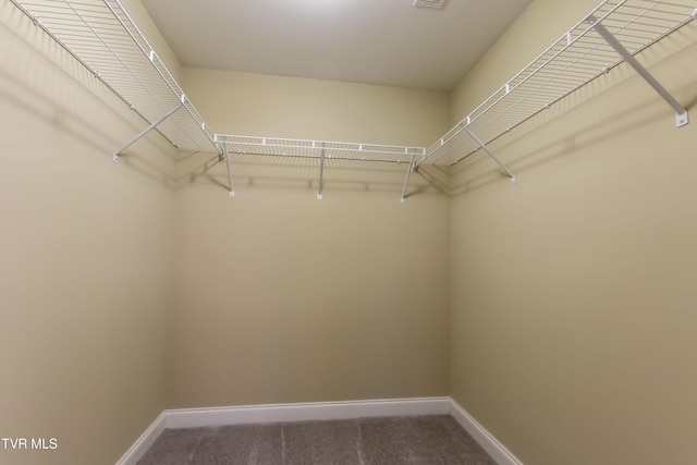 1551 Hatterdale Farm Rd Unit 1551, Blountville, TN 37617 - walk in closet with carpet
