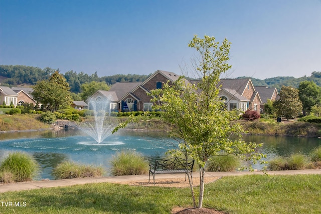 1551 Hatterdale Farm Rd Unit 1551, Blountville, TN 37617 - water view