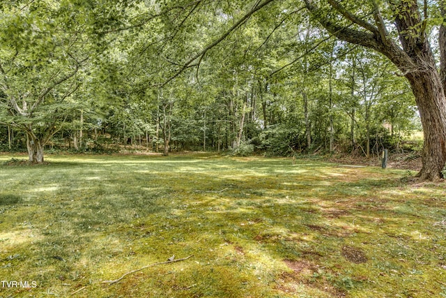 137 Maxwell Dr, Bristol, TN 37620 - photo 7