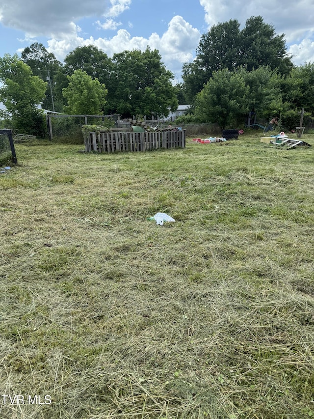 1357 Broad St, Elizabethton, TN 37643 - photo 3