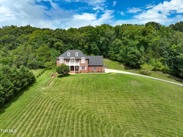 287 Pactolus Rd, Kingsport, TN 37663 - view of subject property with a heavily wooded area