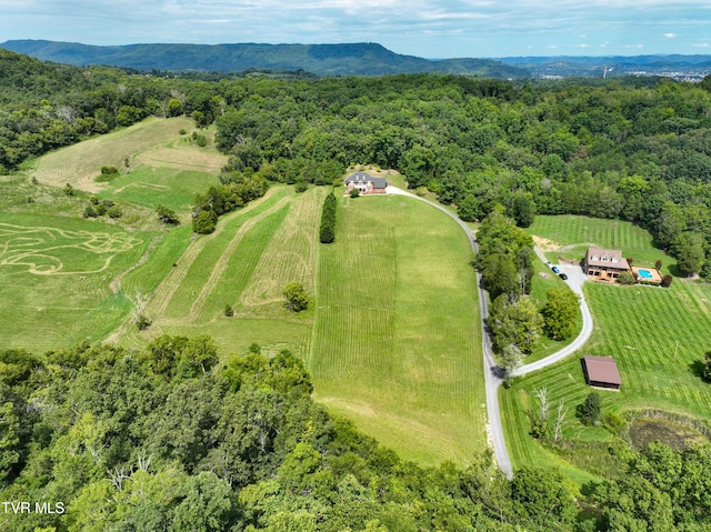287 Pactolus Rd, Kingsport, TN 37663 - aerial overview of property's location with rural landscape and a forest