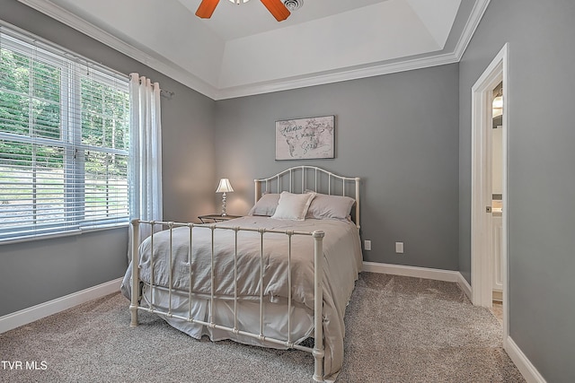 287 Pactolus Rd, Kingsport, TN 37663 - carpeted bedroom with a tray ceiling, a ceiling fan, and crown molding