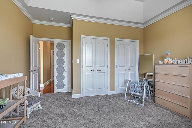 287 Pactolus Rd, Kingsport, TN 37663 - bedroom with crown molding, multiple closets, and carpet