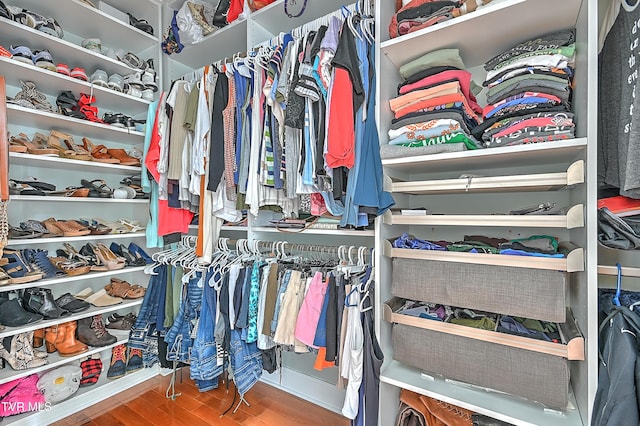 287 Pactolus Rd, Kingsport, TN 37663 - spacious closet with wood finished floors