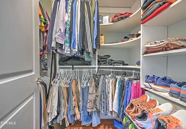 287 Pactolus Rd, Kingsport, TN 37663 - spacious closet with wood finished floors