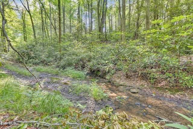 3232 Shelby Way, Hartford, TN 37753