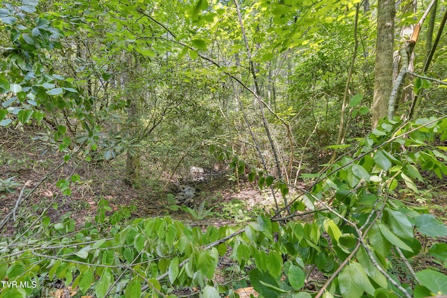 3232 Shelby Way, Hartford, TN 37753