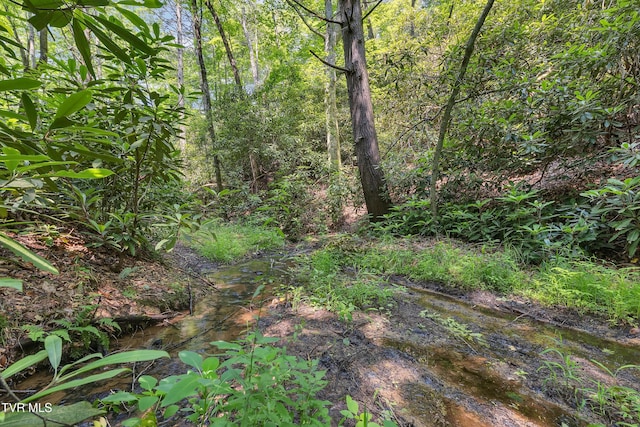3232 Shelby Way, Hartford, TN 37753