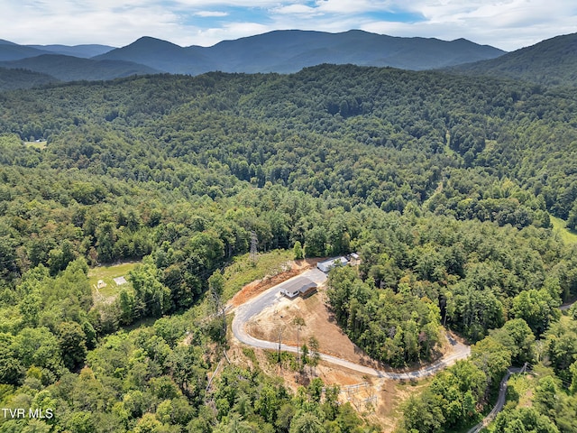 3232 Shelby Way, Hartford, TN 37753