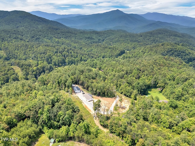 3232 Shelby Way, Hartford, TN 37753