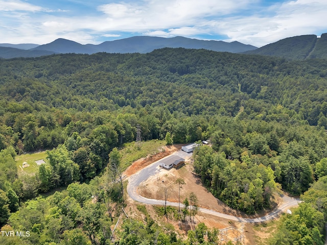 3232 Shelby Way, Hartford, TN 37753