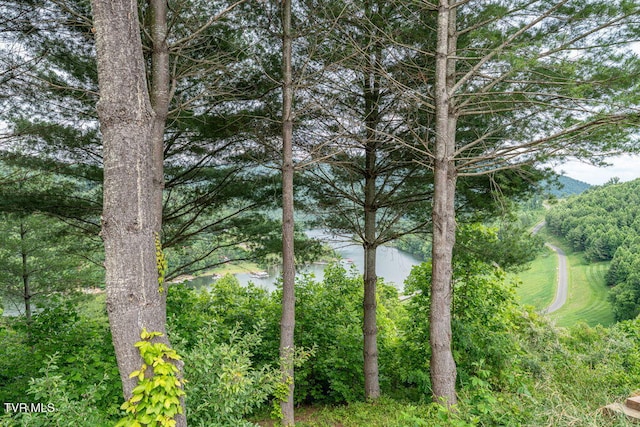 LOT68 Cowan Town Rd, Butler, TN 37640 - photo 5