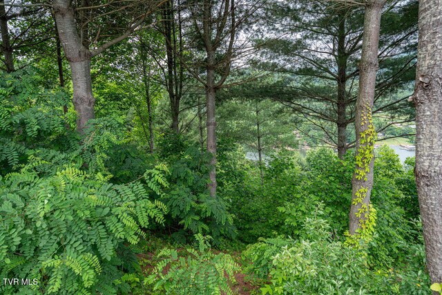 LOT68 Cowan Town Rd, Butler, TN 37640 - photo 6