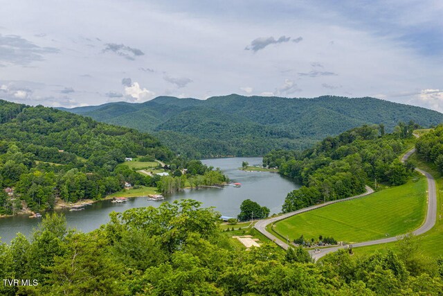 LOT68 Cowan Town Rd, Butler, TN 37640 - photo 1