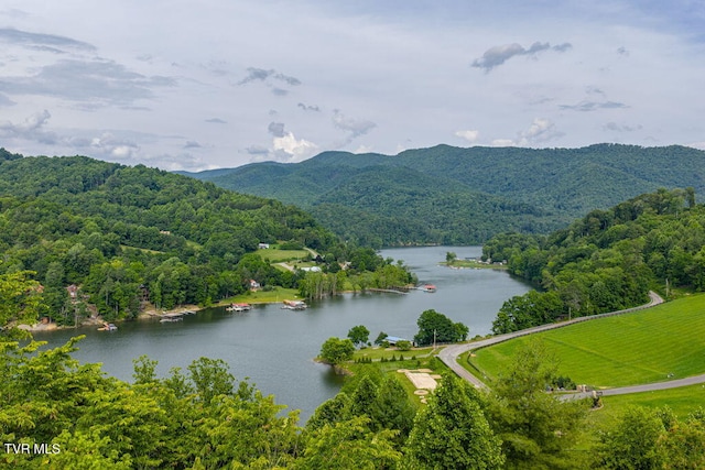 LOT68 Cowan Town Rd, Butler, TN 37640 - photo 8