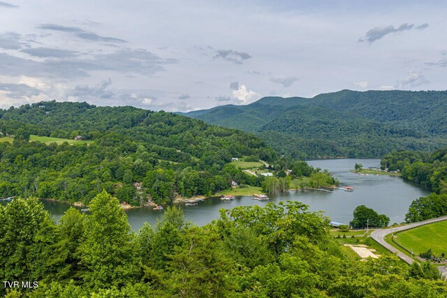 LOT68 Cowan Town Rd, Butler, TN 37640 - photo 9