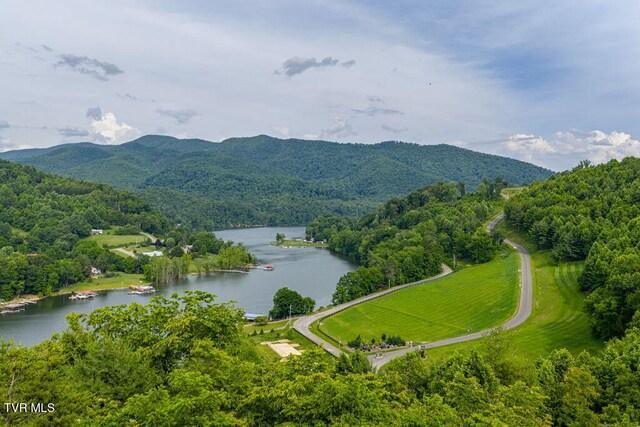 LOT68 Cowan Town Rd, Butler, TN 37640 - photo 10