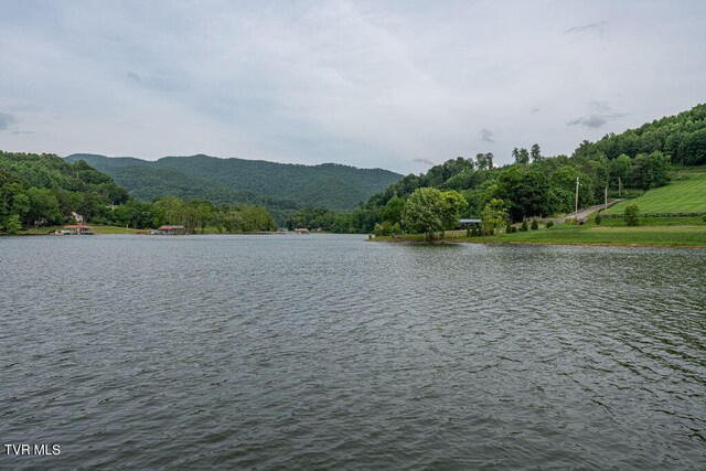 LOT68 Cowan Town Rd, Butler, TN 37640 - photo 22