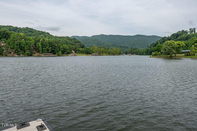 LOT68 Cowan Town Rd, Butler, TN 37640 - photo 23
