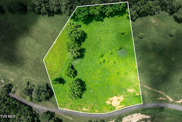 TDB Ridgeview Dr, Mountain City, TN 37683 - photo 10