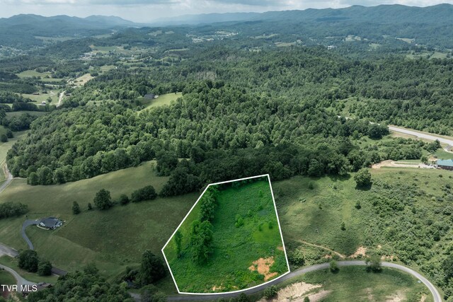 TDB Ridgeview Dr, Mountain City, TN 37683 - photo 12