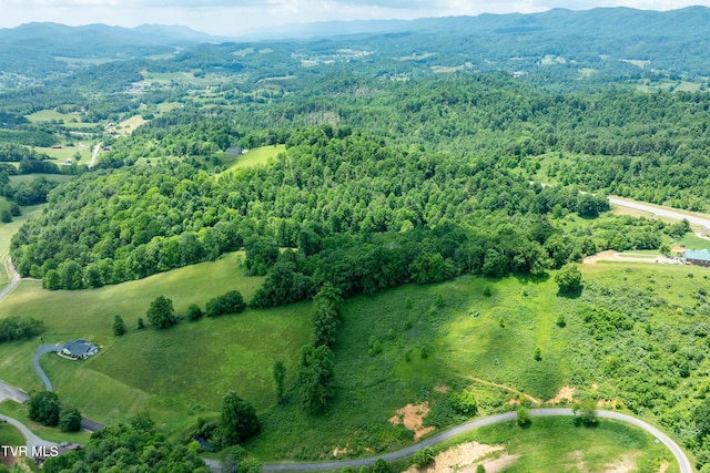 TDB Ridgeview Dr, Mountain City, TN 37683 - photo 13