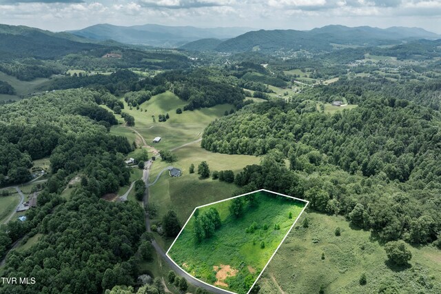 TDB Ridgeview Dr, Mountain City, TN 37683 - photo 14