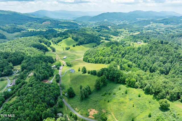 TDB Ridgeview Dr, Mountain City, TN 37683 - photo 15