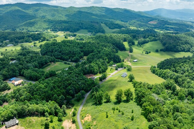 TDB Ridgeview Dr, Mountain City, TN 37683 - photo 17