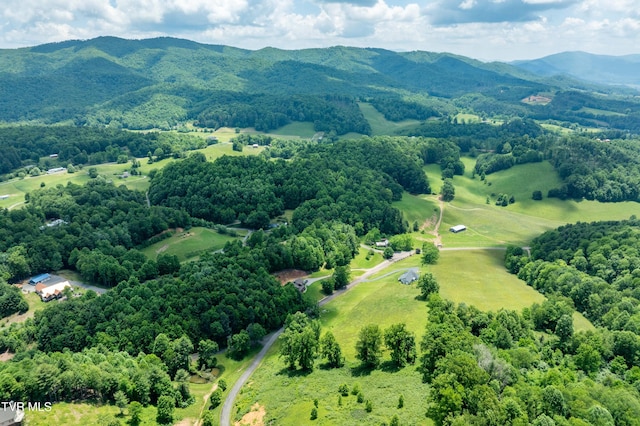 TDB Ridgeview Dr, Mountain City, TN 37683 - photo 18