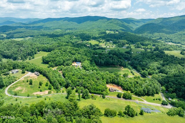 TDB Ridgeview Dr, Mountain City, TN 37683 - photo 20