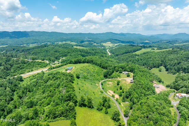 TDB Ridgeview Dr, Mountain City, TN 37683 - photo 22