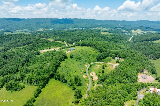 TDB Ridgeview Dr, Mountain City, TN 37683 - photo 23