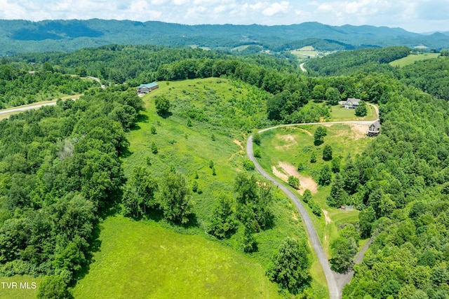 TDB Ridgeview Dr, Mountain City, TN 37683 - photo 24