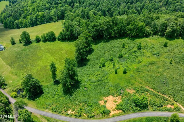 TDB Ridgeview Dr, Mountain City, TN 37683 - photo 2
