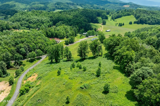 TDB Ridgeview Dr, Mountain City, TN 37683 - photo 8