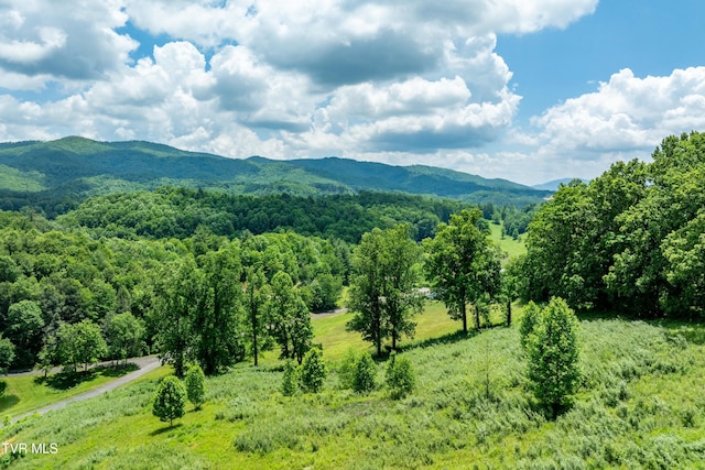 TDB Ridgeview Dr, Mountain City, TN 37683 - photo 7