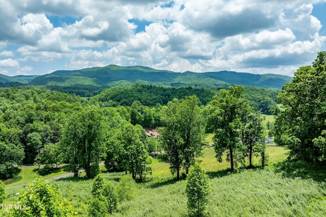 TDB Ridgeview Dr, Mountain City, TN 37683 - photo 3