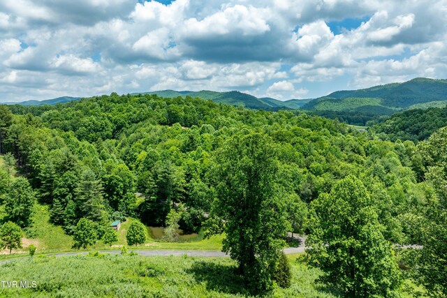 TDB Ridgeview Dr, Mountain City, TN 37683 - photo 4