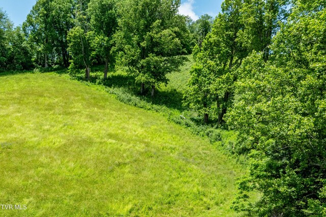 TDB Ridgeview Dr, Mountain City, TN 37683 - photo 5