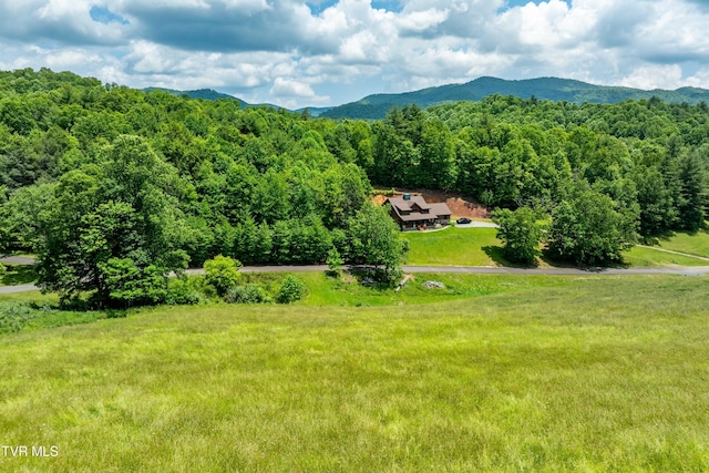 TDB Ridgeview Dr, Mountain City, TN 37683 - photo 1