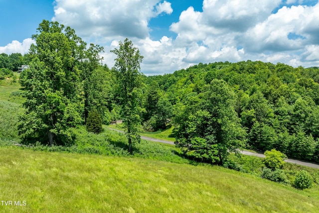 TDB Ridgeview Dr, Mountain City, TN 37683 - photo 9