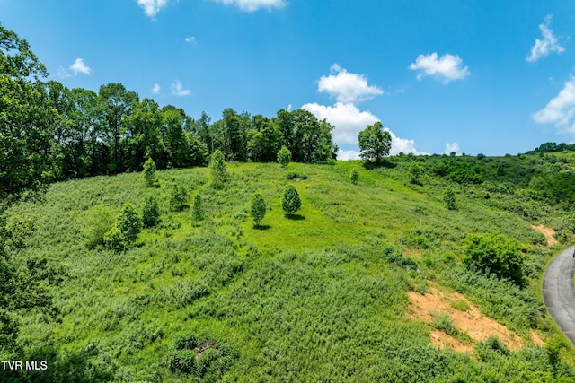 TDB Ridgeview Dr, Mountain City, TN 37683 - photo 28