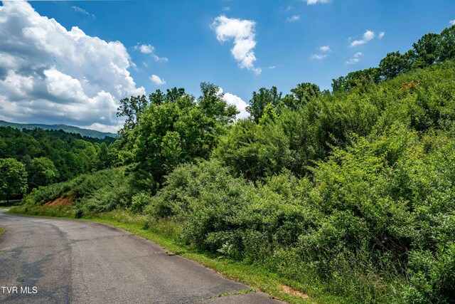 TDB Ridgeview Dr, Mountain City, TN 37683 - photo 29
