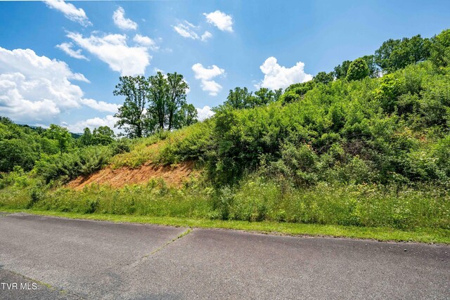 TDB Ridgeview Dr, Mountain City, TN 37683 - photo 30