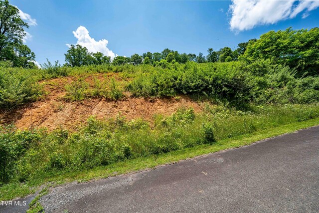 TDB Ridgeview Dr, Mountain City, TN 37683 - photo 31