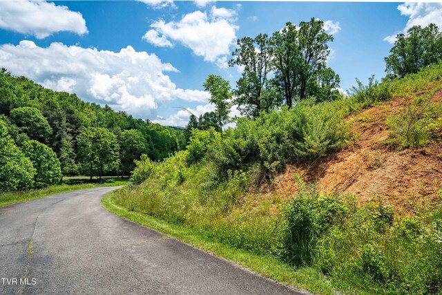 TDB Ridgeview Dr, Mountain City, TN 37683 - photo 32
