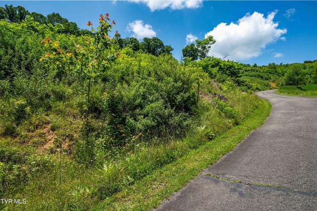 TDB Ridgeview Dr, Mountain City, TN 37683 - photo 33