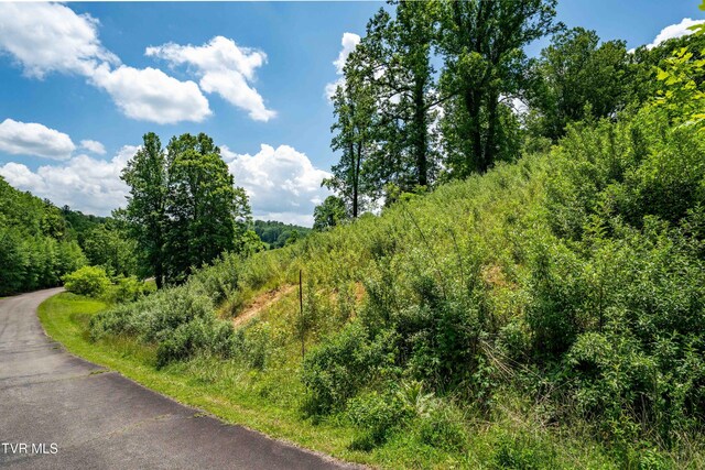 TDB Ridgeview Dr, Mountain City, TN 37683 - photo 34